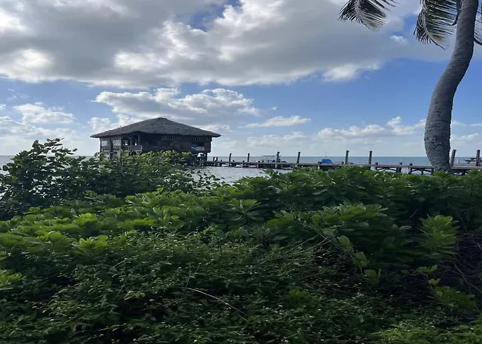 White Sands Cove E01-partial Ocean View 2 Bedroom By Floreo